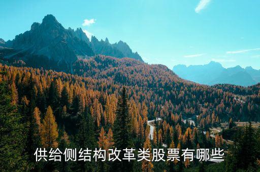 供給側(cè)最利好什么股票，供給側(cè)改革概念股有哪些