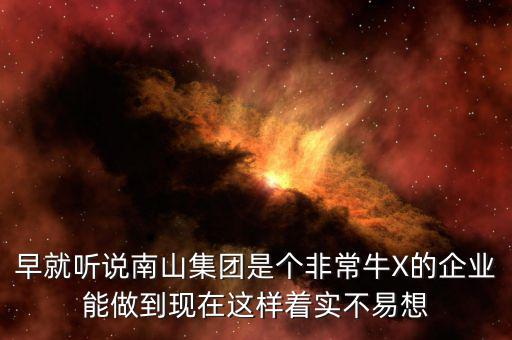南山集團對南山村的作用有什么，南山村的介紹
