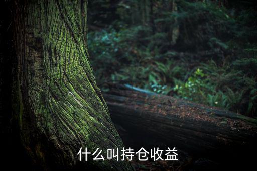 理財(cái)里的持倉(cāng)收益是什么意思，基金 持倉(cāng)收益7579 是什么意思啊 本人是新手