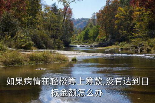 如果病情在輕松籌上籌款,沒(méi)有達(dá)到目標(biāo)金額怎么辦