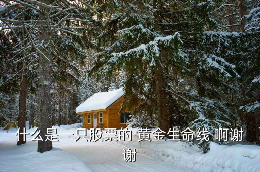 什么是股市生命線，什么是一只股票的 黃金生命線 啊謝謝