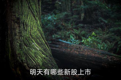 明天什么股票上市，明天有哪些新股上市
