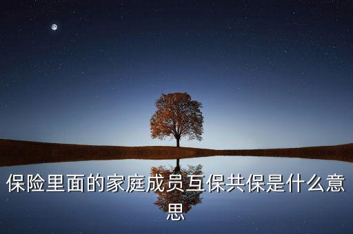 什么是共同被保險(xiǎn)人，保險(xiǎn)里面的家庭成員互保共保是什么意思