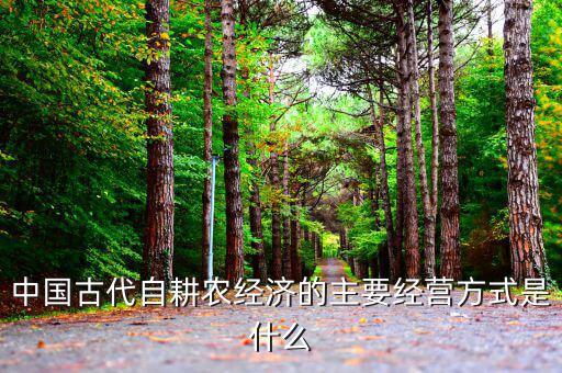 傳統(tǒng)農(nóng)業(yè)的經(jīng)營主體是什么，中國古代自耕農(nóng)經(jīng)濟(jì)的主要經(jīng)營方式是什么
