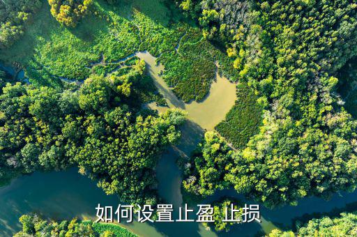怎么設(shè)止損,股票交易可以是自動(dòng)止損通過(guò)設(shè)置交易軟件進(jìn)行