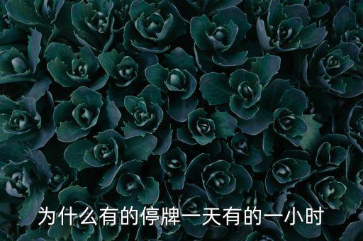 什么情況下停牌一小時(shí)，當(dāng)日委托幾點(diǎn)起有效要是停牌一小時(shí)幾點(diǎn)開(kāi)始