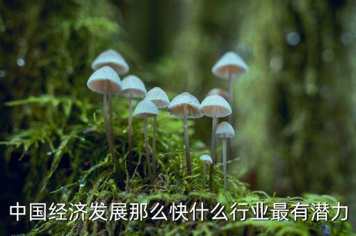 未來(lái)中國(guó)經(jīng)濟(jì)什么行業(yè)可以，中國(guó)經(jīng)濟(jì)發(fā)展那么快什么行業(yè)最有潛力