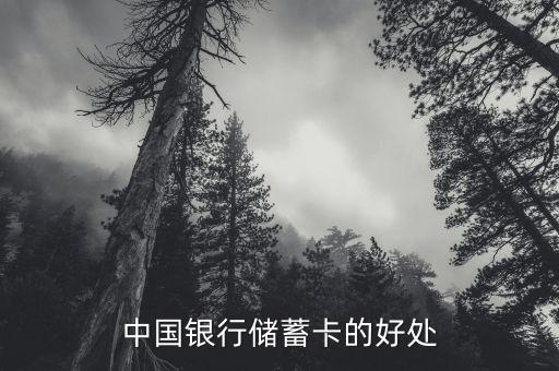 中國銀行存蓄卡有什么好處，中國銀行儲蓄卡的好處