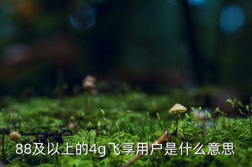 4g用戶是什么意思，88及以上的4g飛享用戶是什么意思