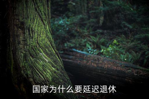 為什么要延遲退休，為什么要推遲退休年齡