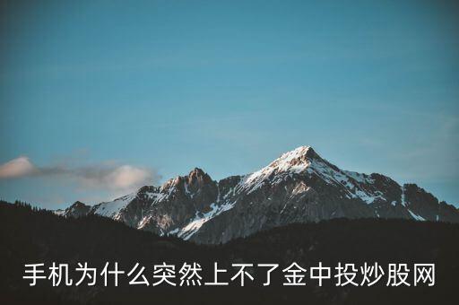 為什么不能用金航線炒股，中航證券的金航線手機(jī)版為什么不能申購新股
