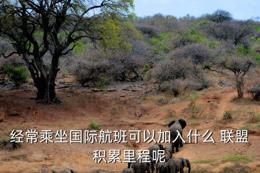 星空聯(lián)盟積分怎么算,南航、東航可通過明珠卡共享積分等