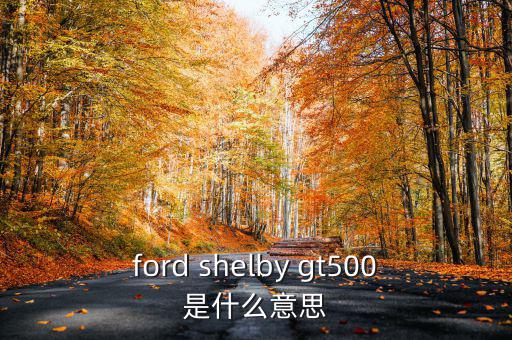 東盟油500是什么，ford shelby gt500是什么意思
