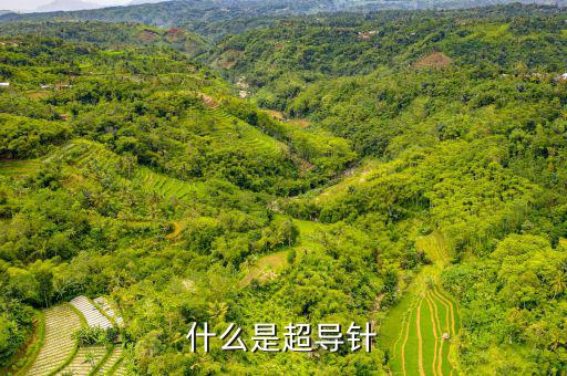 射頻超導(dǎo)腔是什么，什么是超導(dǎo)針