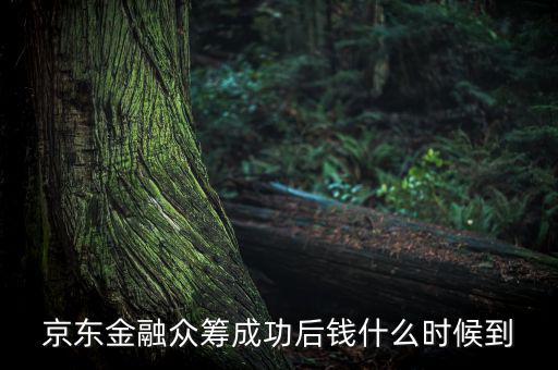 京東金融活動(dòng)什么時(shí)候結(jié)束，金條的活動(dòng)什么時(shí)候結(jié)束啊