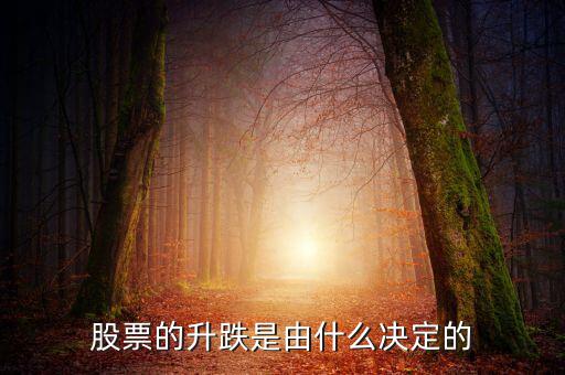 股票根據(jù)什么跌升，股票的升跌是由什么決定的