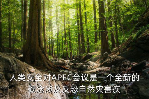 2014apec峰會簽署了什么文件，亞洲和太平洋地區(qū)經(jīng)濟合作會議簡稱 APEC