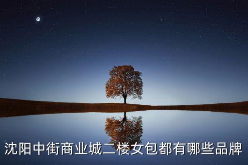 中街商業(yè)城都有什么品牌，沈陽中街商業(yè)城二樓女包都有哪些品牌