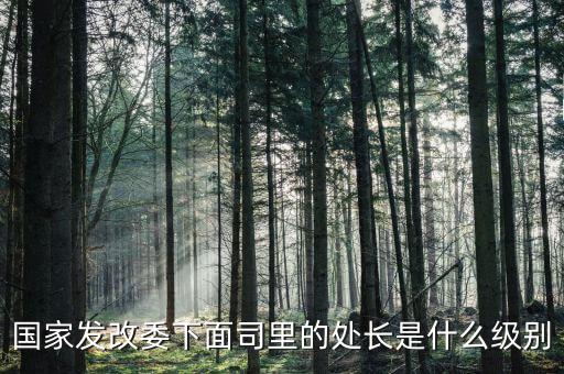 央企處長是什么級別，央企比如移動 電信 聯(lián)通 中石油石化 這些企業(yè)縣的老總是什么級別
