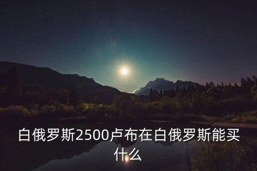 白俄羅斯盧布50可以買什么，白俄羅斯2500盧布在白俄羅斯能買什么