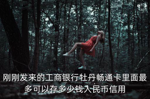 剛剛發(fā)來(lái)的工商銀行牡丹暢通卡里面最多可以存多少錢(qián)人民幣信用