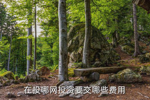 投哪網(wǎng)管理費(fèi)什么時候收取，投哪網(wǎng)收手續(xù)費(fèi)嗎