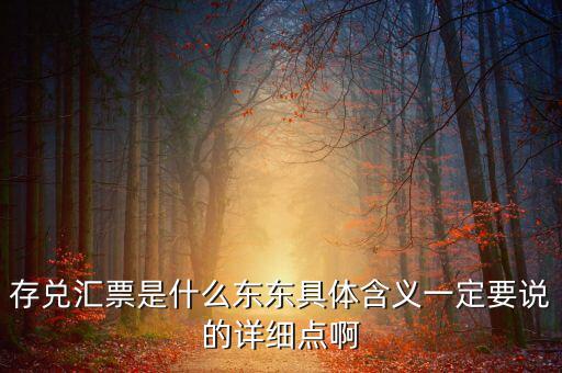 存兌匯票是什么東東具體含義一定要說的詳細(xì)點啊