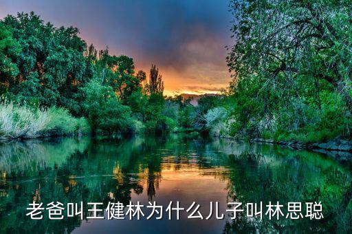 王健林和王思聰是什么關(guān)系，老爸叫王健林為什么兒子叫林思聰