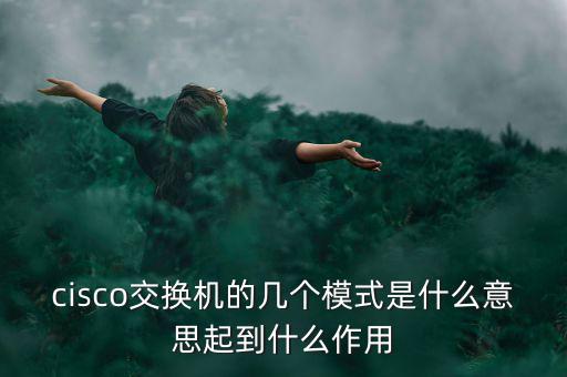 tmt究竟是什么模式，請問TMT是什么意思