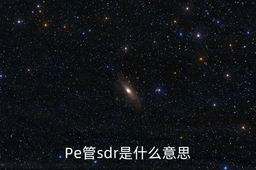 sdr是什么意思，sdr范丞丞wzr什么意思