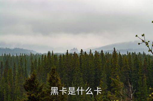 銀行卡黑卡是什么級(jí)別，黑卡是什么卡