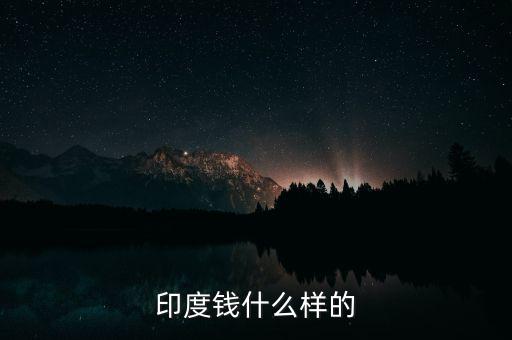 印度盧比什么樣，請(qǐng)問(wèn)我這盧比怎么樣