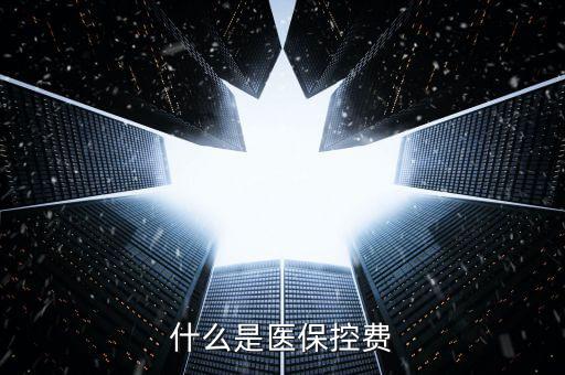 什么是醫(yī)?？刭M(fèi)
