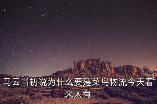 馬云為什么要做物流，馬云為何不搞物流