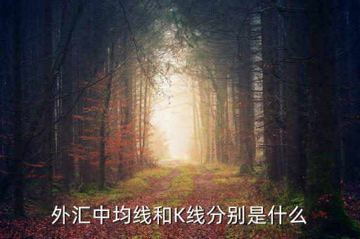 什么叫k線，外匯中均線和K線分別是什么