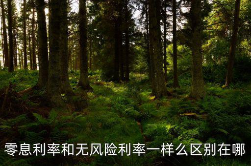 即期利率是什么，定期的利息和國(guó)期的利息是什么