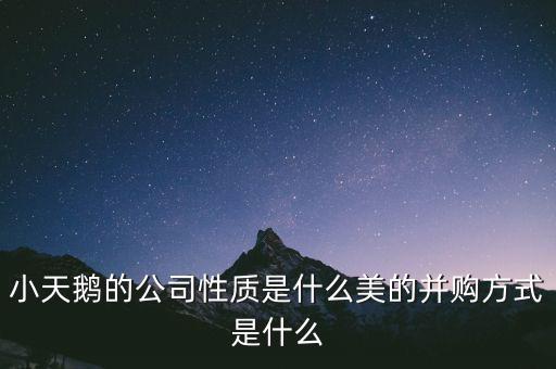 天鵝有什么并購案，小天鵝 合并的品牌