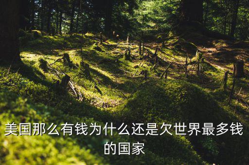為什么美國欠中國錢，世界第一經(jīng)濟(jì)體美國 為什么還要向中國借錢