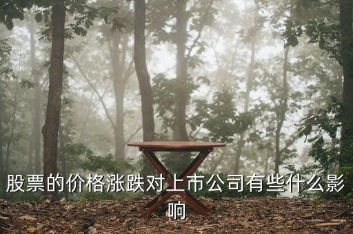 股價(jià)變動(dòng)對(duì)一個(gè)公司有什么影響，股票的價(jià)格漲跌對(duì)上市公司有些什么影響