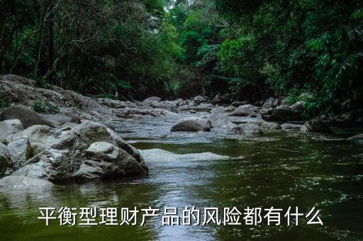 理才客戶風險平衡型是什么意思，平安銀行評估平衡型是什么意思