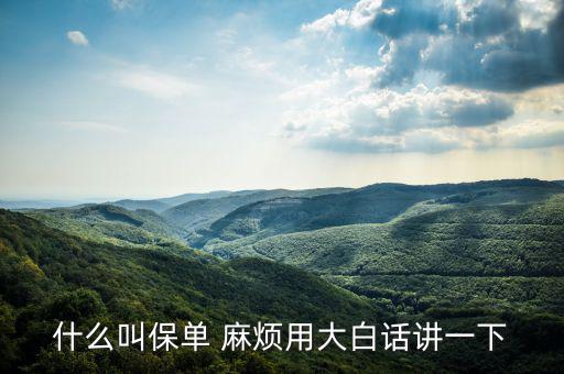 什么是保單，什么是保單