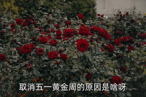 五一黃金周為什么取消，為什么取消五一黃金周