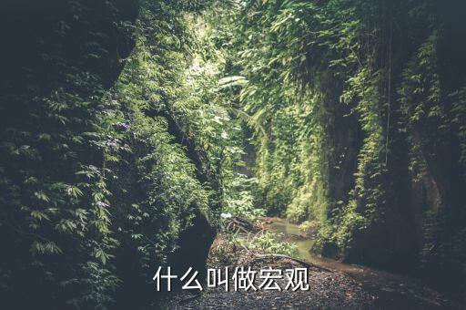 宏觀是指什么方面，什么叫做宏觀