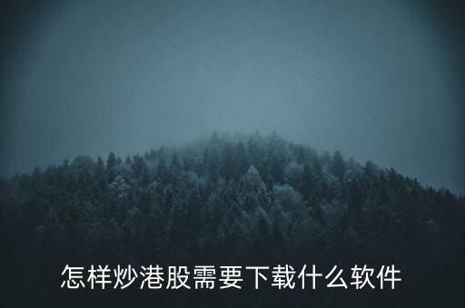 港股資金進(jìn)出用什么軟件，現(xiàn)在內(nèi)地的炒股滬港通用什么軟件