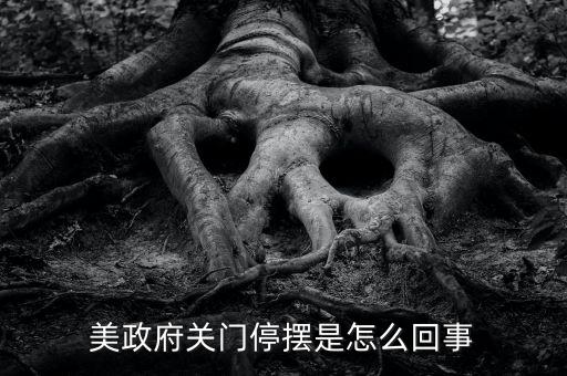 為什么美國政府關(guān)門，美國國會(huì)為什么關(guān)門