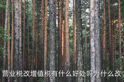 為什么營改增，營改增有什么意義和影響