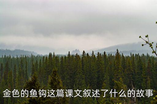 金這篇課文是一篇什么文，金子這篇課文使我們懂得了什么道理