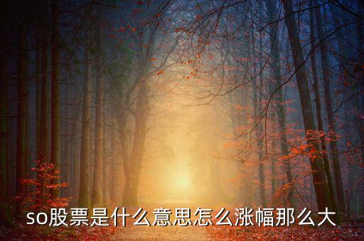 so股票是什么意思，股市上so開(kāi)頭的是什么意思