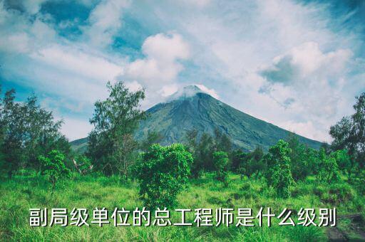 核安全總工程師是什么級別，總工程師是什么級別