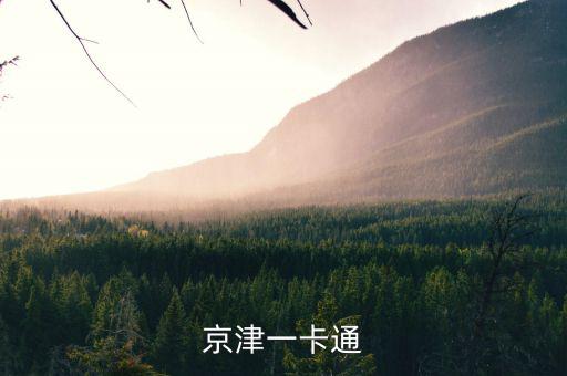 京津冀公交卡一體卡是什么樣子的，在北京辦的藍(lán)色的公交卡是可以在石家莊所有公交用了嗎還是說(shuō)京津